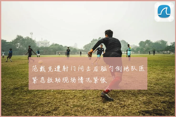 范戴克遭射门闷击后脑勺倒地队医紧急救助现场情况紧张