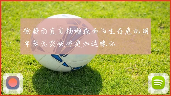 徐静雨直言杨瀚森面临生存危机明年若无突破将更加边缘化
