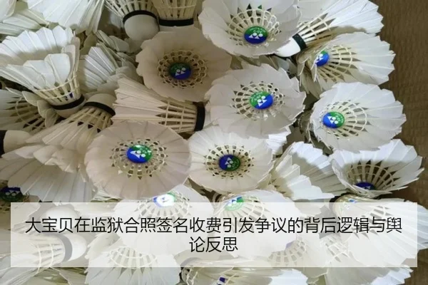 大宝贝在监狱合照签名收费引发争议的背后逻辑与舆论反思（ManBetX）